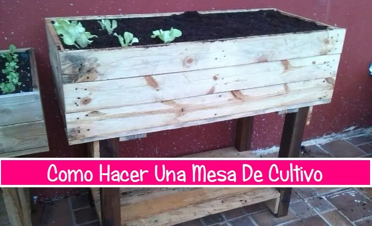 Como Hacer Una Mesa De Cultivo Con Palets