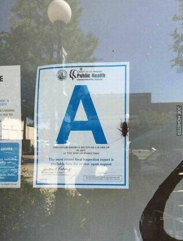 imágenes domingueras para levantar el domingo