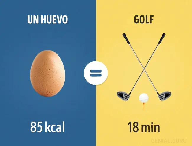 nesesario