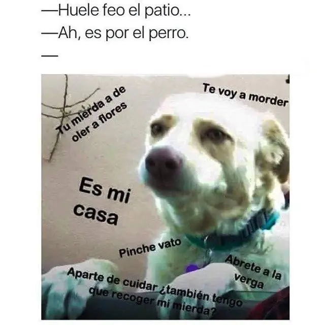 Imagenes re locas para el sábado!