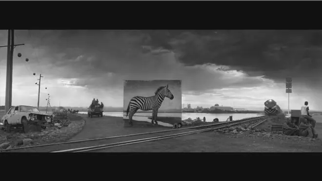 Animales