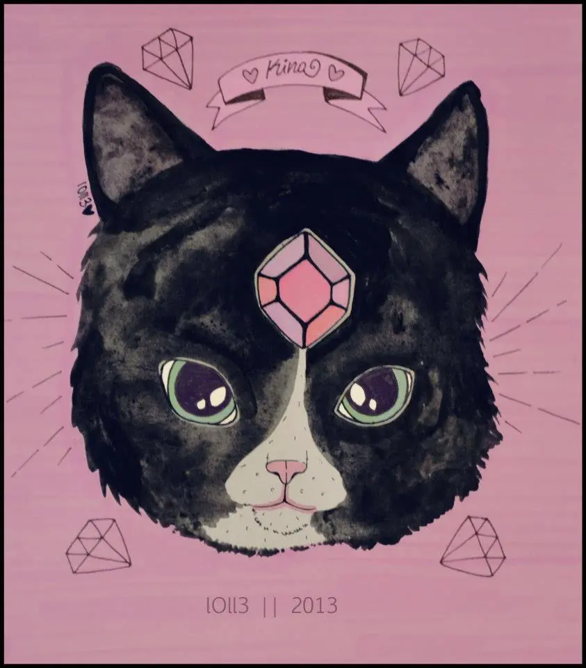 illustraciones