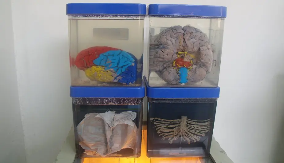 Museos