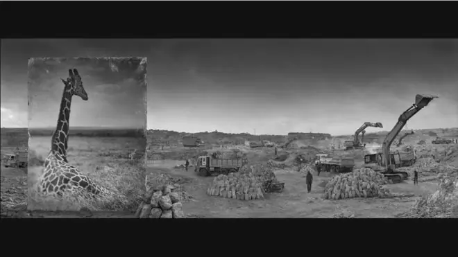 El fotógrafo que retrata "animales fantasma"