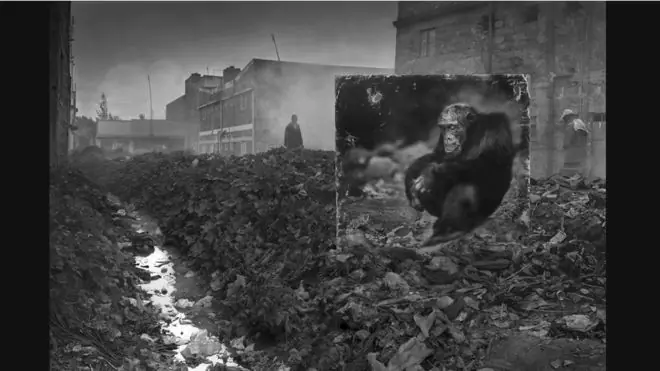 nick brandt