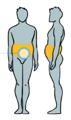 Ésta es tu grasa y así la puedes Eliminar