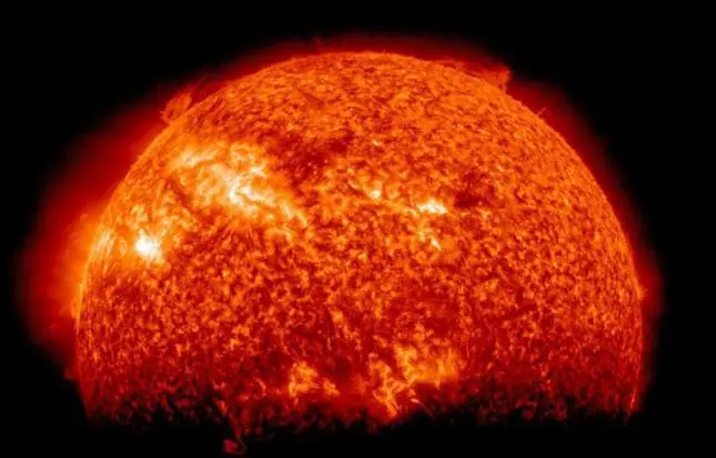 15 curiosidades cientificas que no sabias