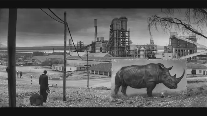 El fotógrafo que retrata "animales fantasma"