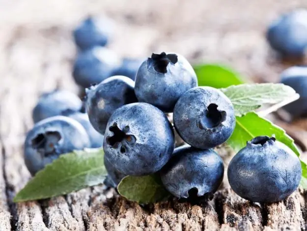 10 frutas para quemar grasa