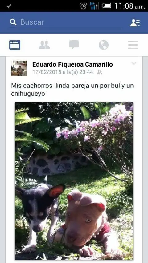 taringa