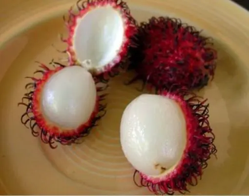 Las 10 frutas más exóticas y raras del mundo Las 10 frutas más exóticas y raras del mundo