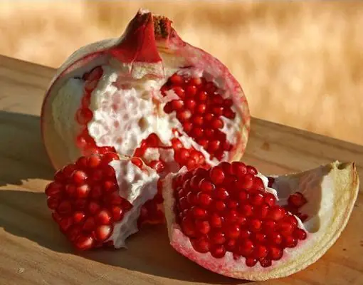 frutas frutas