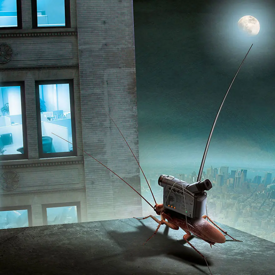 Igor Morski