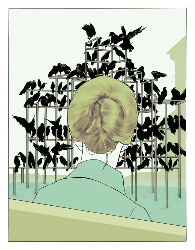 ilustraciones