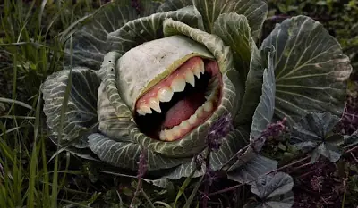 Plantas carnívoras: hambrientas y magnificas