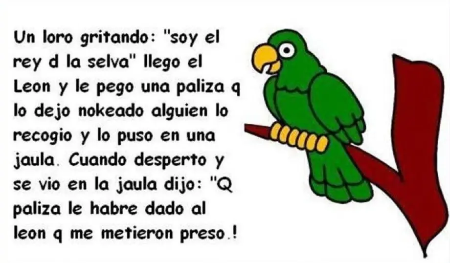 video chistoso