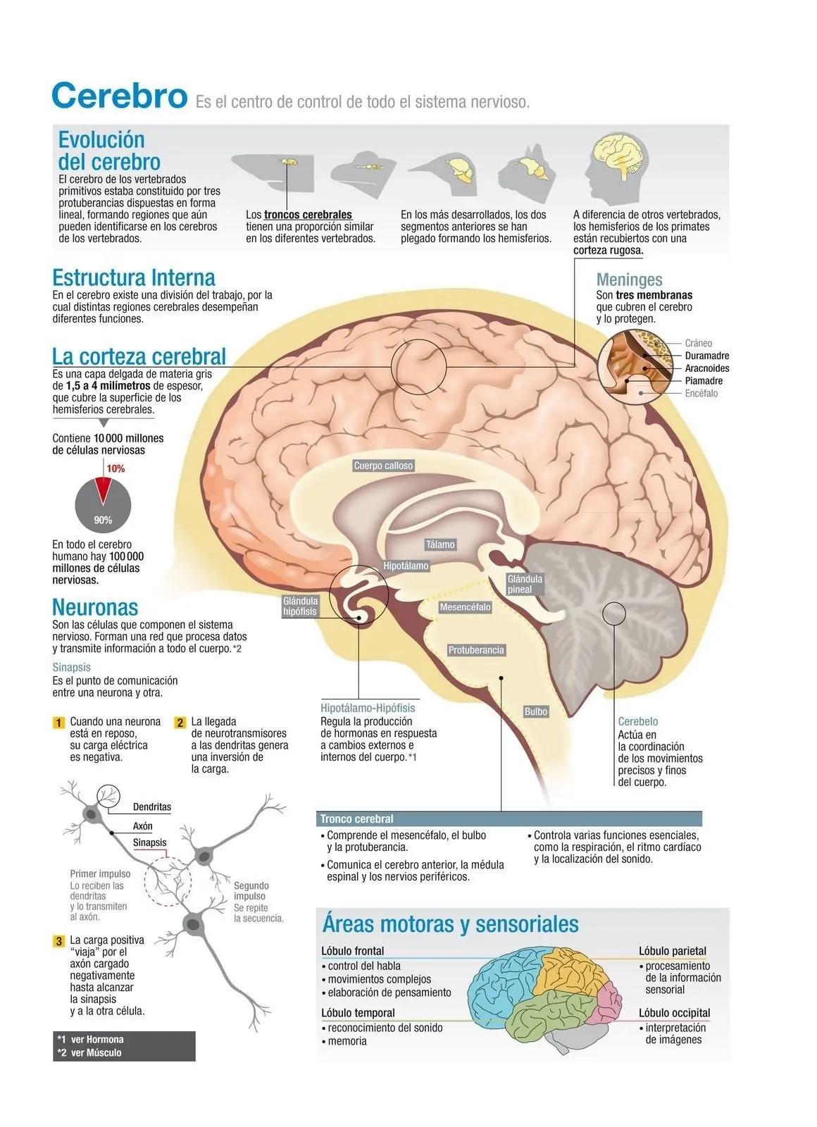 ciencia