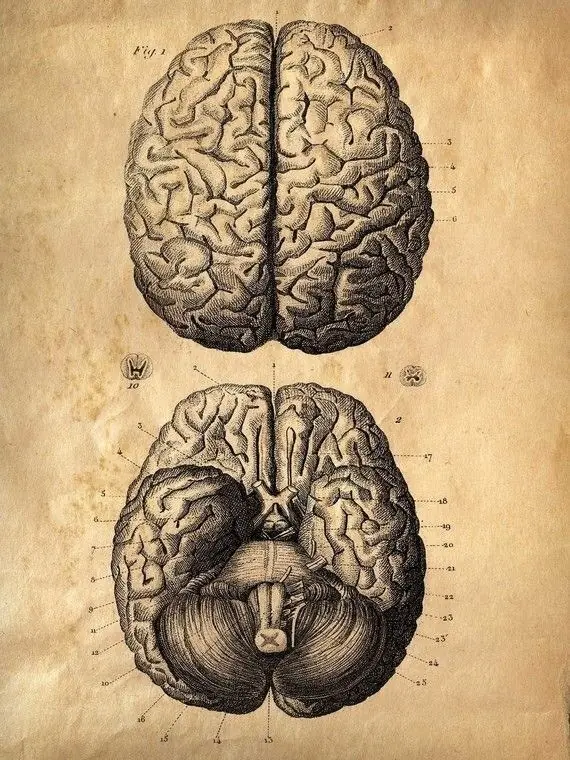 ciencia