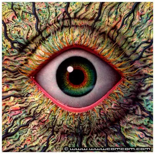colores
