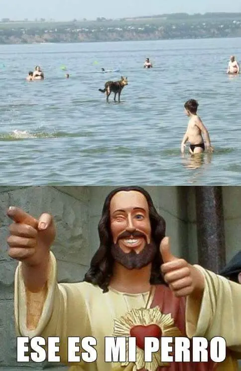 ateos ateos