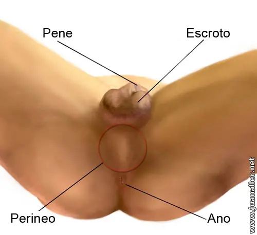 masturbacion