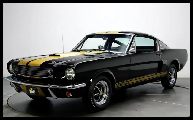 mustang mustang