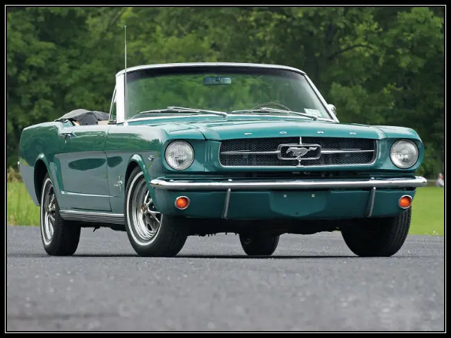 mustang mustang