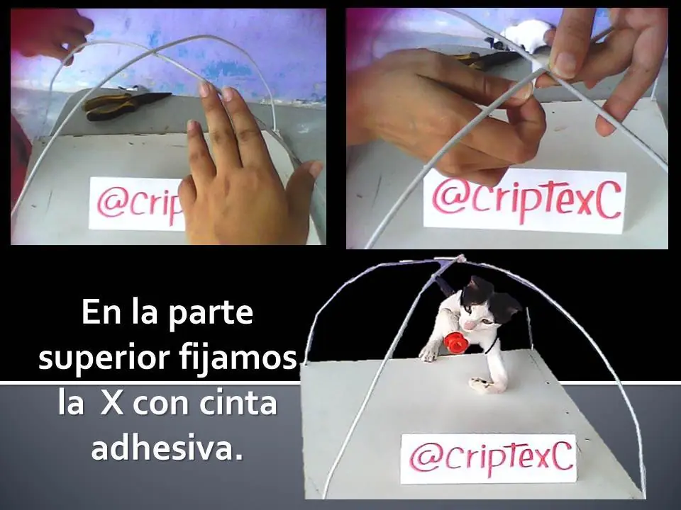 carpa