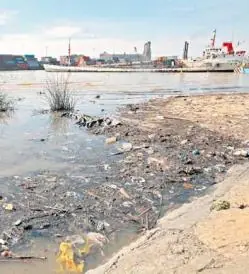 ecologia