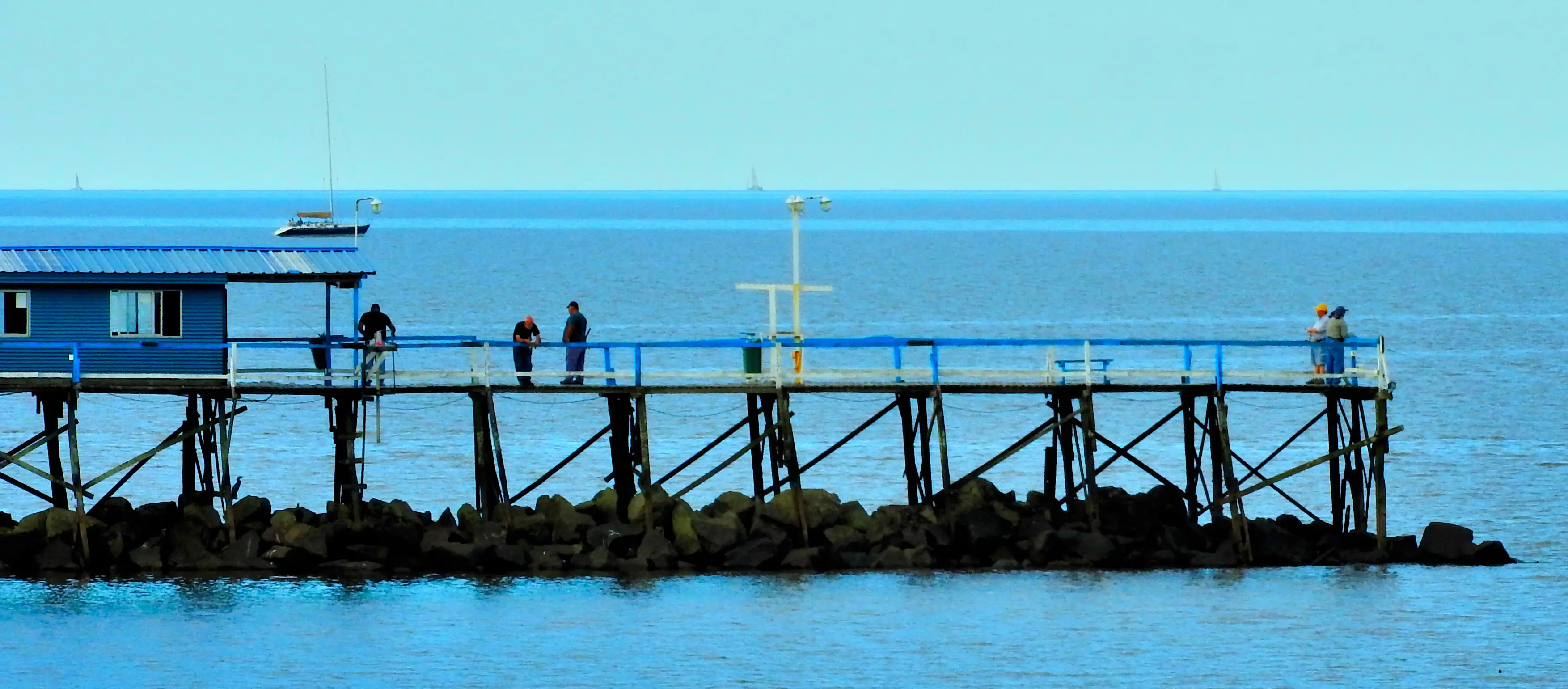 Mirá las fotos que saqué champion.