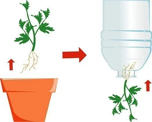 huerta