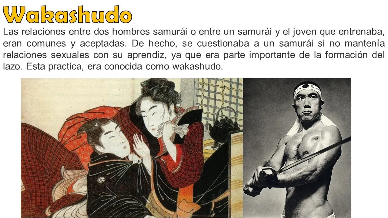 curioseadores