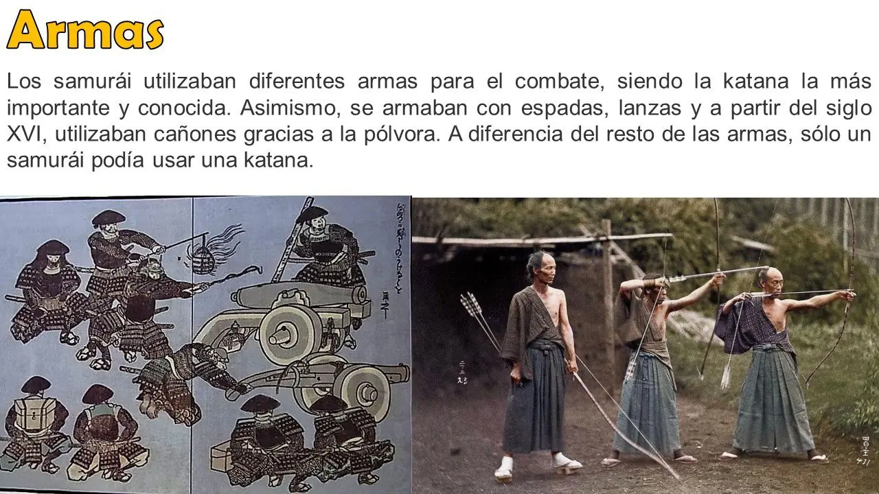 curioseadores