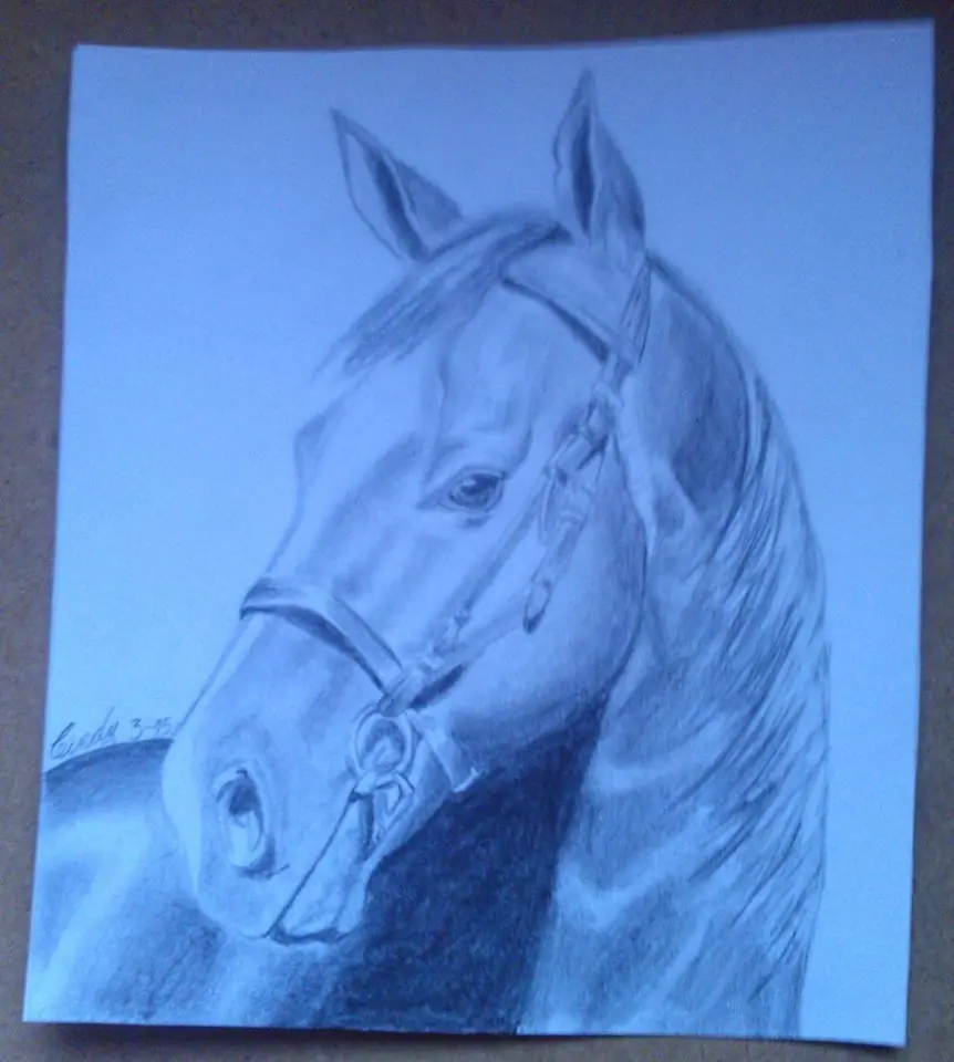 Dibujo
