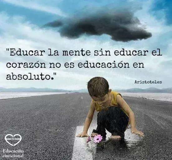 educacion
