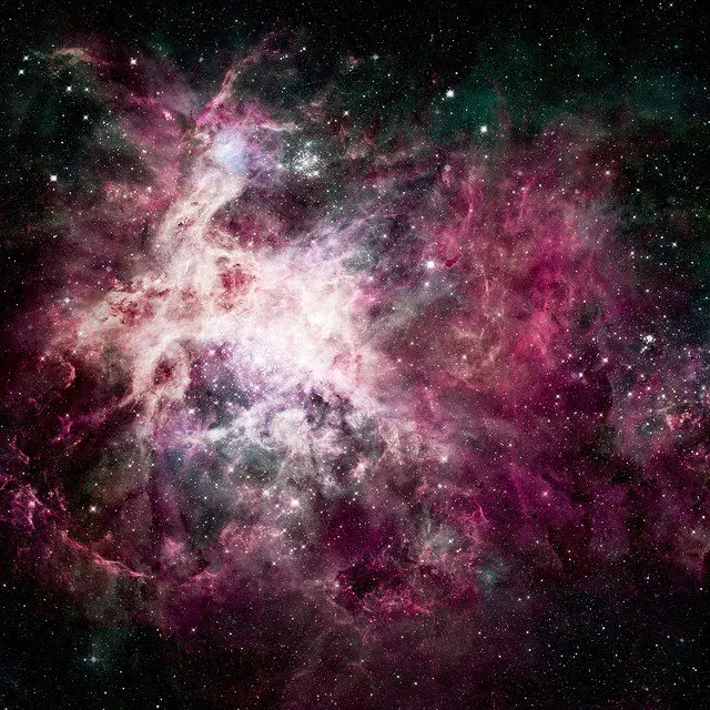 ¿Podría Descomponerse un ser vivo en el espacio exterior?