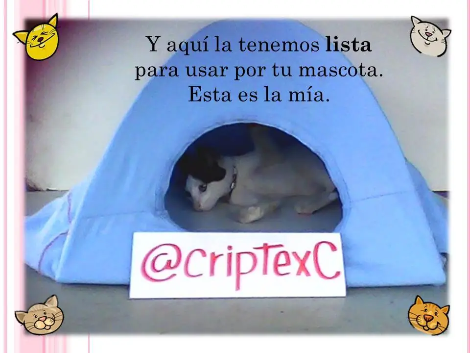 mascota