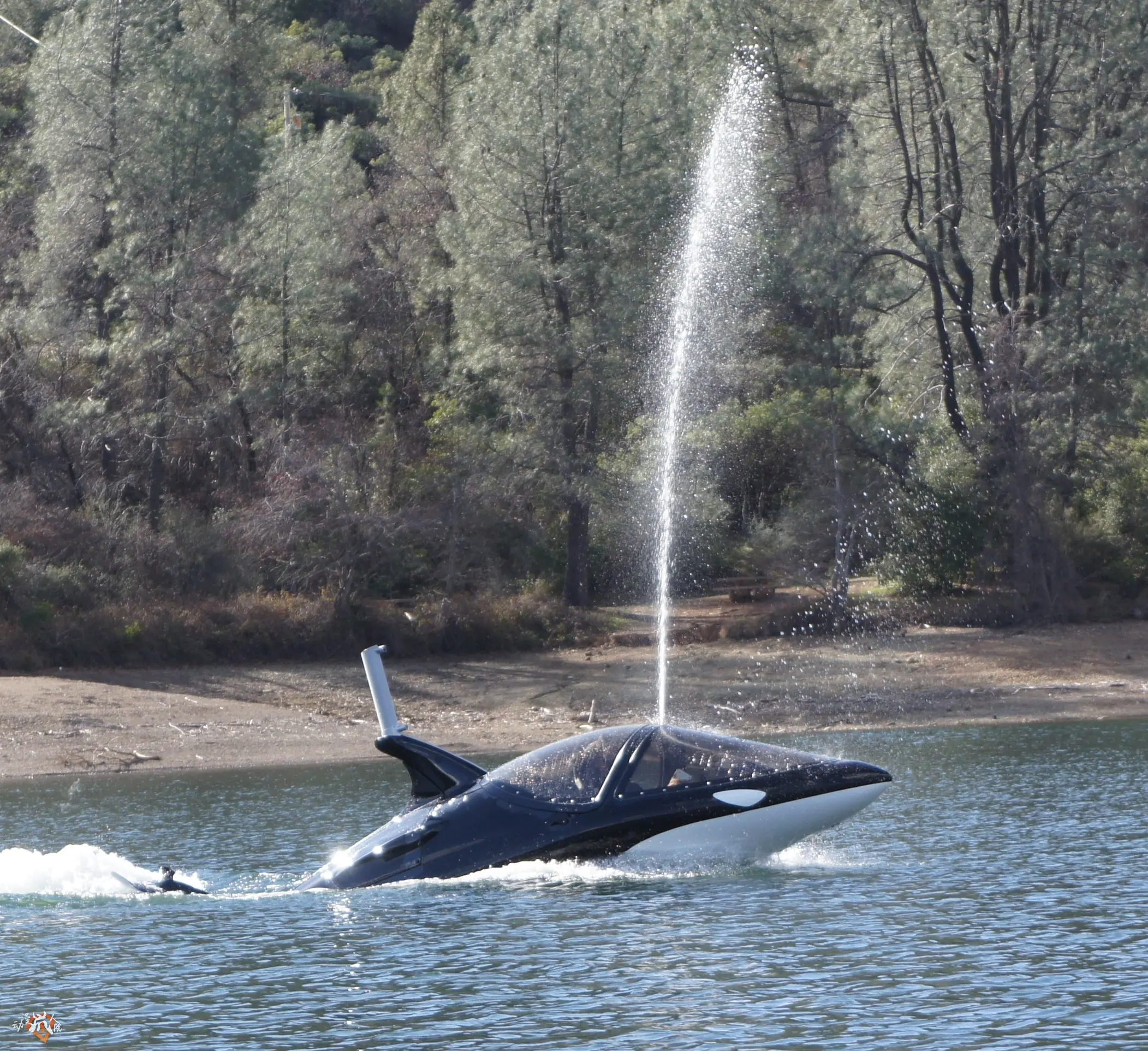 Orcas de juguetes que hacen maniobras acrobáticas