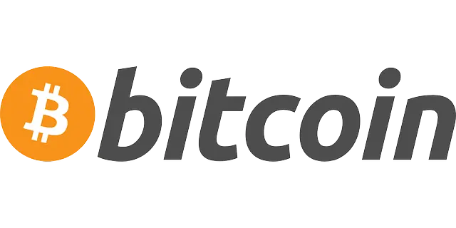 bitcoin bitcoin