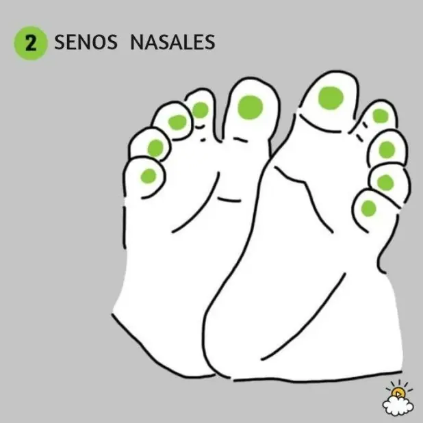 pies