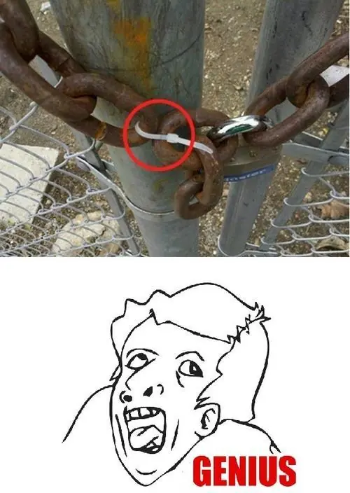 Genius