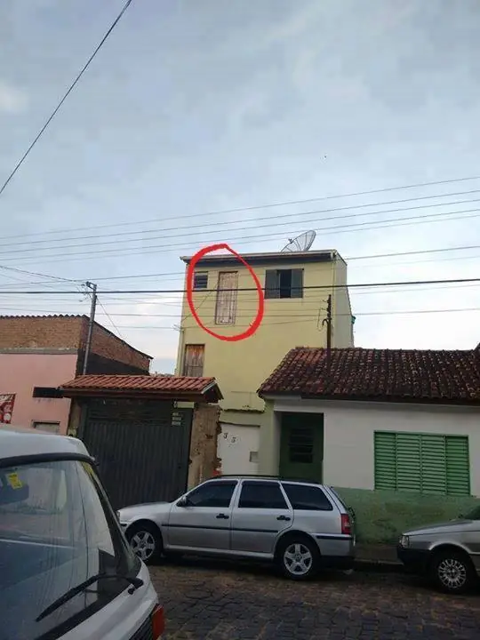 monkey