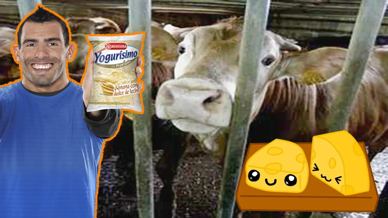 tevez tevez