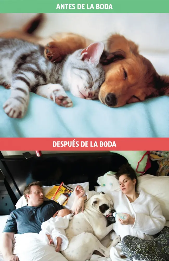 matrimonio