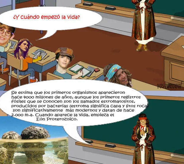 principios