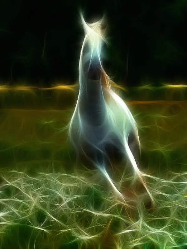 via lactea