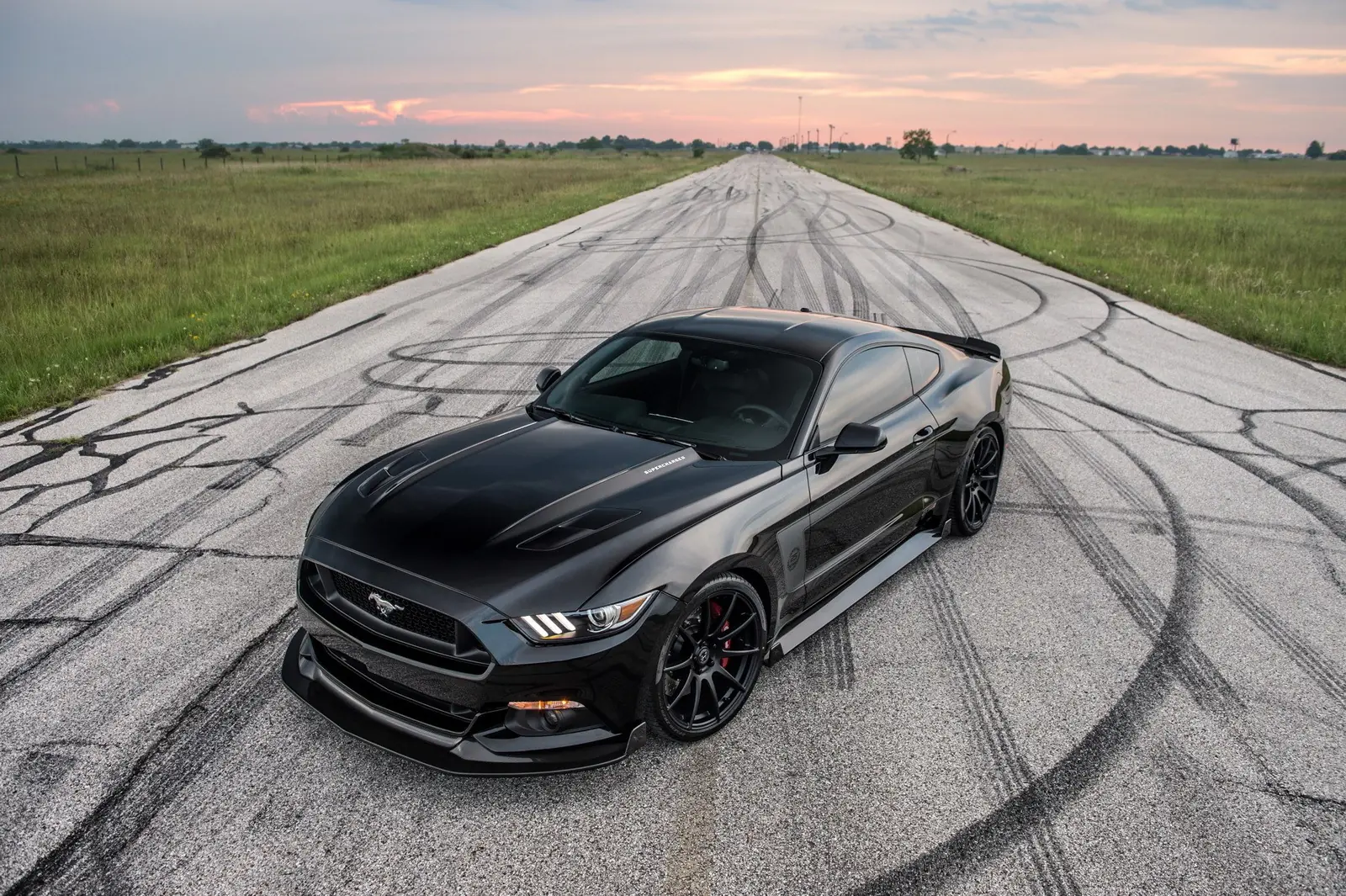 mustang