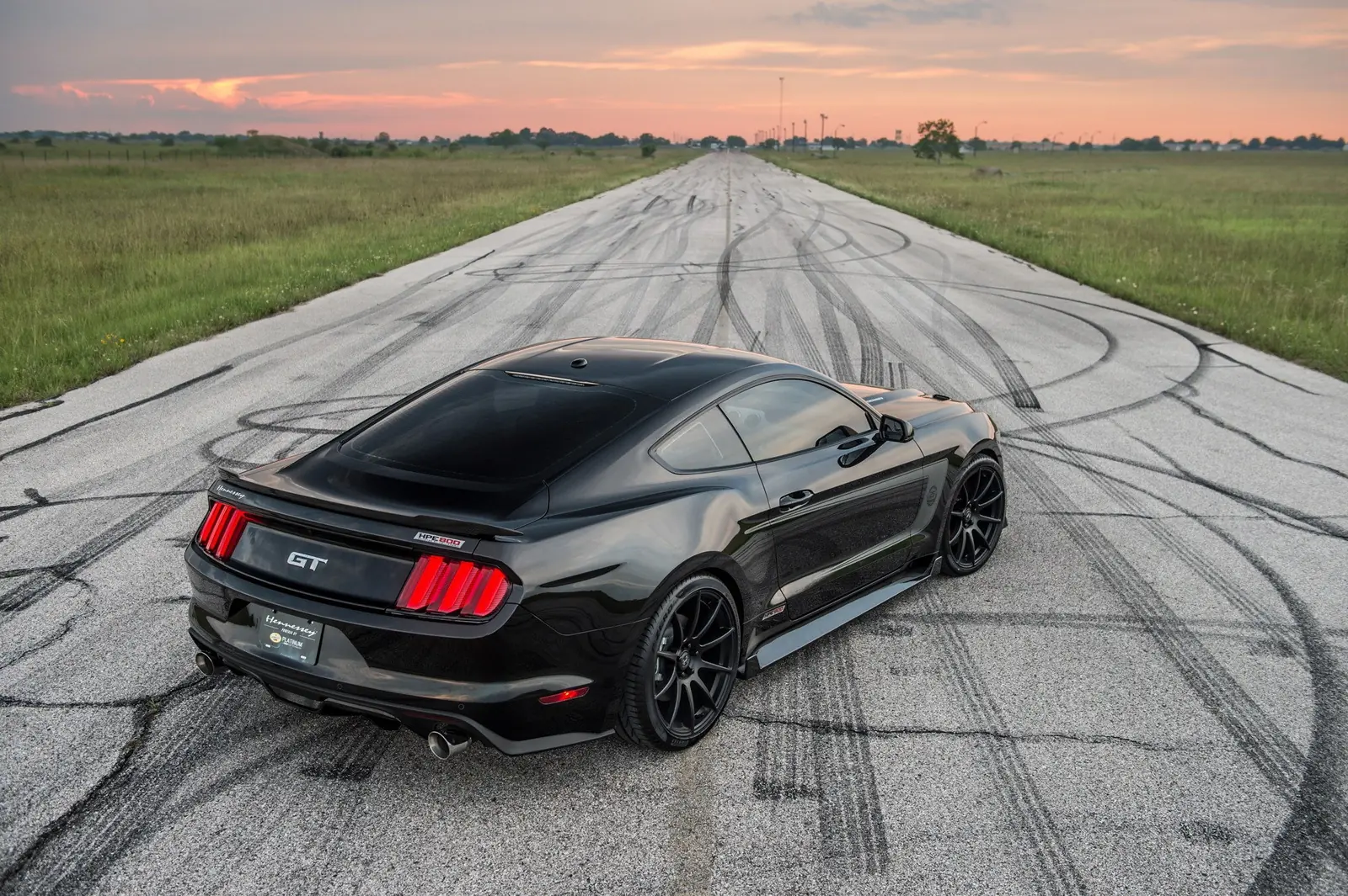 shelby