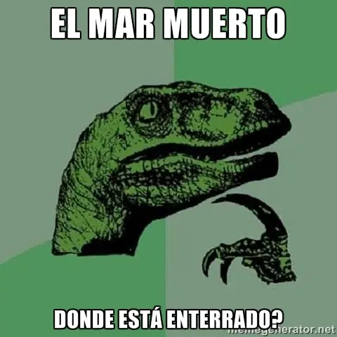 Estupidas