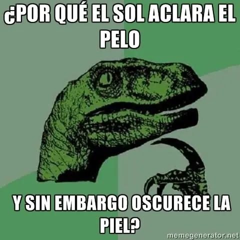 Estupidas